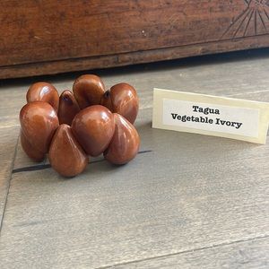“Tagua” Baracelet 🇪🇨